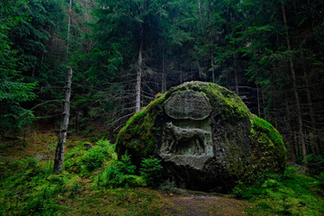 Lynx on the rock stone sculpture in the dark forest. Last shoot dead cat lynx in Czech Republic. Forest landscape in National Park Ceske Svycarsko. Lynx memorial monument between the trees.