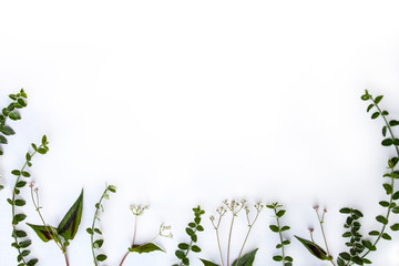 Decorative frame made branches, leaves, flowers on white background. Flat lay, top view