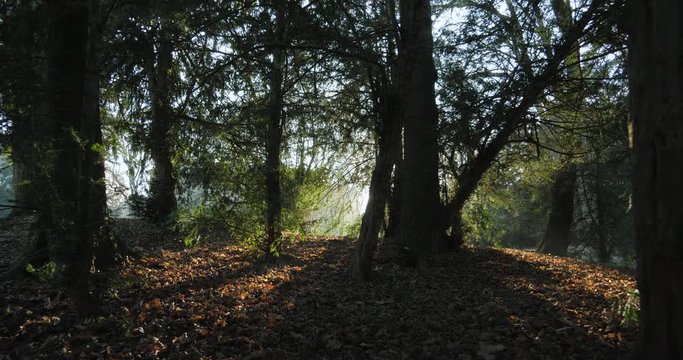 Projet sans titre