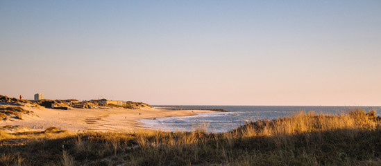 Scenic sunset on the beach horizontal view. Evening dusk on coast. Calm seascape. Vastness concept. Evening light on coastline. Travel and vacation concept. Cape landscape. 