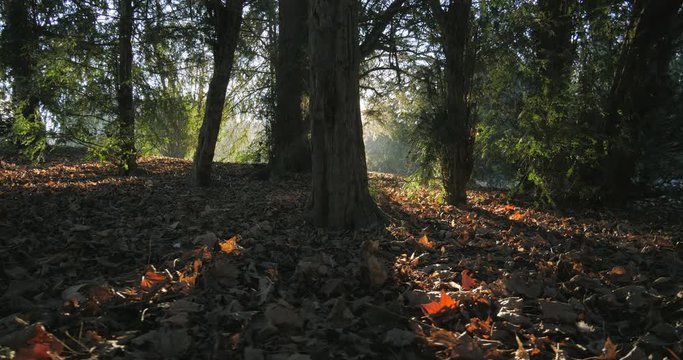 Projet sans titre