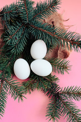 Fototapeta na wymiar Easter eggs on a pink background with a sprig of spruce