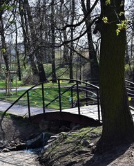 Parkowy mostek pionowo