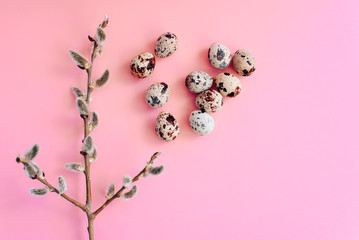 Easter eggs on a pink background with a sprig of willow