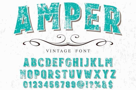 Script Font Typeface vintage script font Vector typeface for labels and any type designs