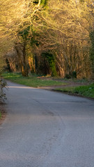 English Country Road