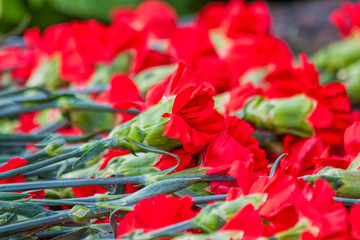 Red carnations near the monument as a symbol of memory.