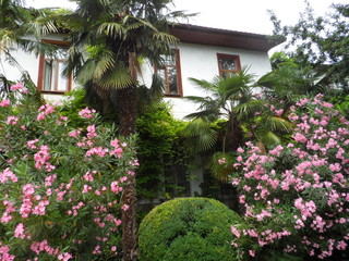Fototapeta premium Botanical Garden