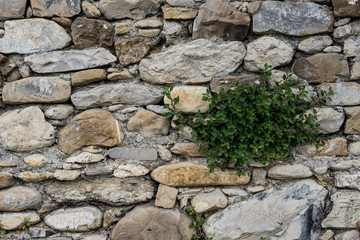 Detail view of an ancient stone wall in the village of Borgo Cervo in liguria Italy. Useful as a background.