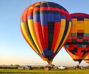Balloon Color