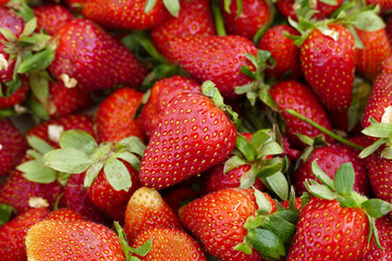 close up of fresh natural strawberry fruit, fresh strawberries in spring, lots of strawberries,