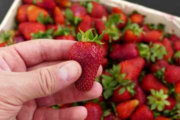 a man chooses strawberries from a strawberry counter, a person has strawberries in his hand, a...