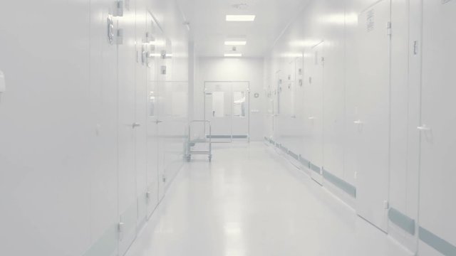 Medical  center, research center, empty hospital corridor. Typical interior, Scientific background. Selective focus. Foggy white background