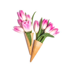 Pink tulips in waffle cones on white background