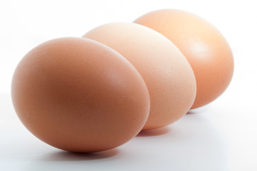 Three eggs in a row isolated on white blank background