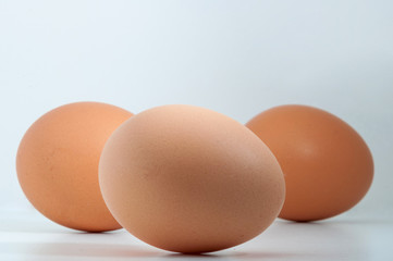 Three eggs in a row isolated on white blank background