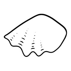 Seashell summer vector illustration 