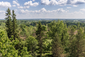 view from the high view tower to the green nature of Latvia - separate trees in the foreground, next to the woodland with the countryside and on the horizon there is a lake