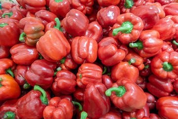 Fresh red pepper harvest close up on the market.