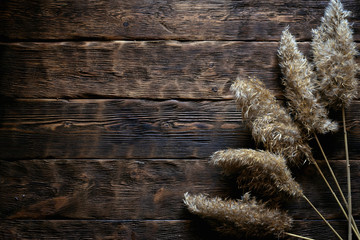 Dried cattail branches on a brown wooden board flat lay background with copy space.