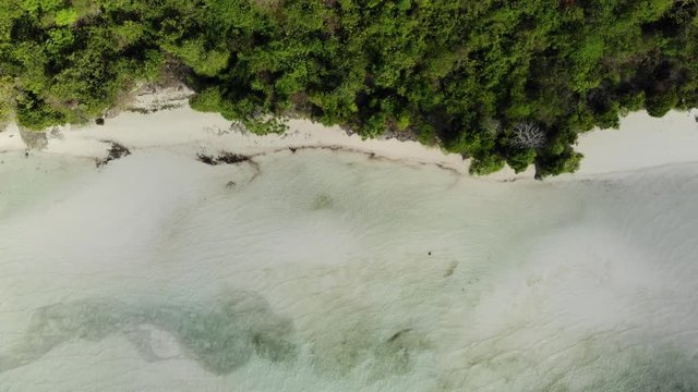 Aerial: Flying over tropical beach turquoise water coral reef , Tomia island Wakatobi National Park Indonesia Maldives Polynesia white sand beach. Native cinelike D-log color profile