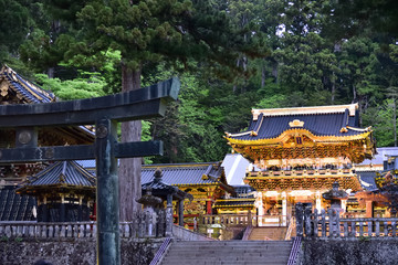 Gate of Japanese traditional shrine - obrazy, fototapety, plakaty