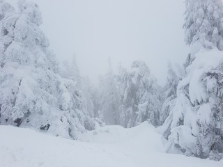 Winter