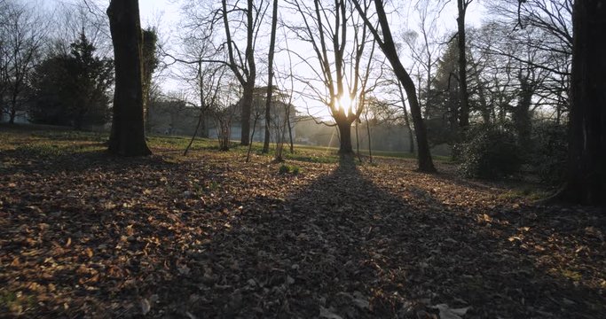 Projet sans titre