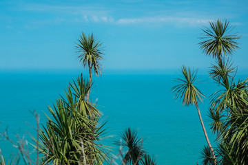 Palms on beach, blue sky and clear water of sea