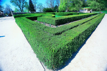 park in czech republic / landscape in a park recreation area in the capital of the czech republic, Prague Castle rest tourism