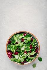 Fresh green mixed salad leaves in bowl with radicchio and lamb's lettuce.