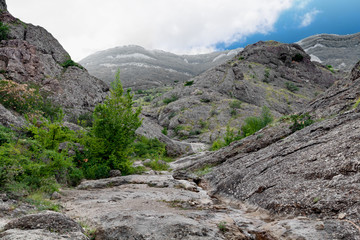 cleft among the rocks