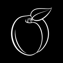 Illustration of Juicy Stylized Apricot Fruit with Leaf. Decorative Retro Style Farm Product Restaurant Menu on Blackboard