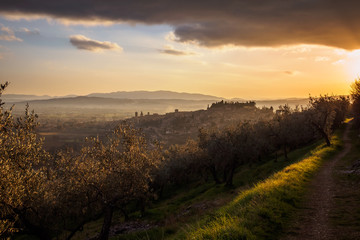 Fototapeta na wymiar A view of Spello in Umbria at sunset. Landscape format.