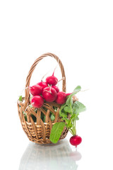 Fototapeta na wymiar fresh organic red radish isolated on white background
