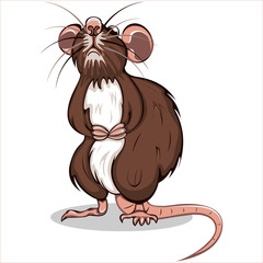 Vector of Brown Rat