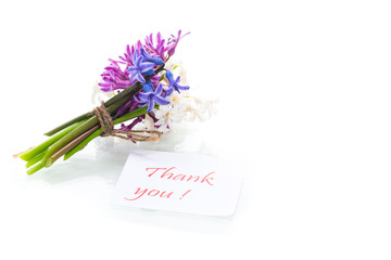 spring beautiful flowers of a hyacinth with a thank you card