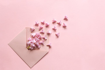 Pink hyacinth in the pink envelope on the pink paper background