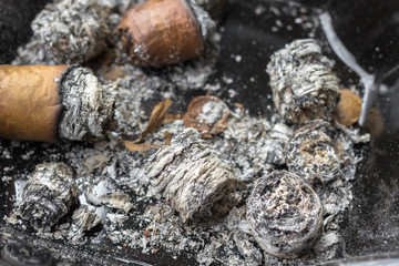 Expensive Cuban cigar. Cigarette butts in an ashtray. Male passion. Smoker's cough. Bad habit. Correct twisting tobacco sheets. Good tobacco. Smoke cigars. Lung cancer. Ash close up.