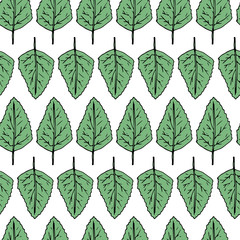 Hand draw seamless pattern. Green leafs. Vector illustration.