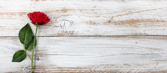Anniversary background with a single red rose on white weathered wood
