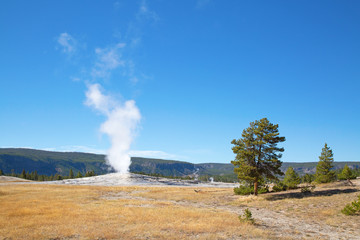 Geyser