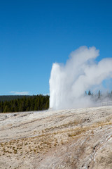Geyser