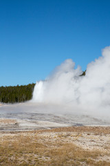 Geyser