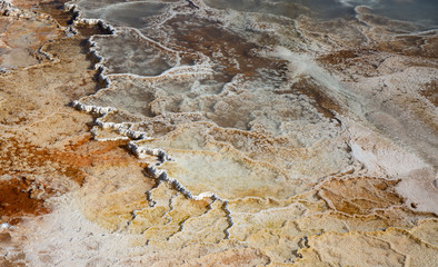 Mammoth hot springs