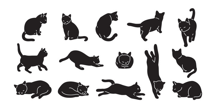 2 794 Best Cat Vector Images Stock Photos Vectors Adobe Stock 2 794 Best Cat Vector Images Stock Photos Vectors Adobe Stock