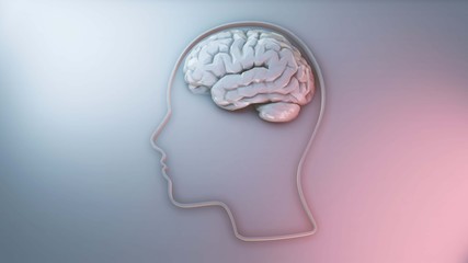 Human brain intelligence and creativity concept 3D illustration