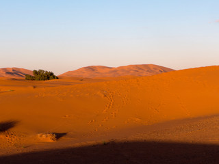 Fototapeta na wymiar Die Wüste Sahara im Süden von Marokko. Diese Sandwüste heißt auch Erg Chebbi.