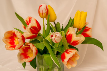 Bouquet of beautiful yellow and red-white tulips