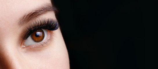 Close up view of beautiful brown female eye with long eyelashes. Eyelash extension procedure....